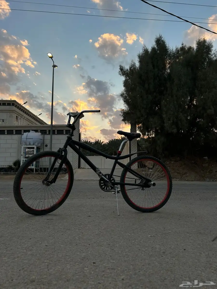 سيكل كوبرا للبيع مقاس 24 87