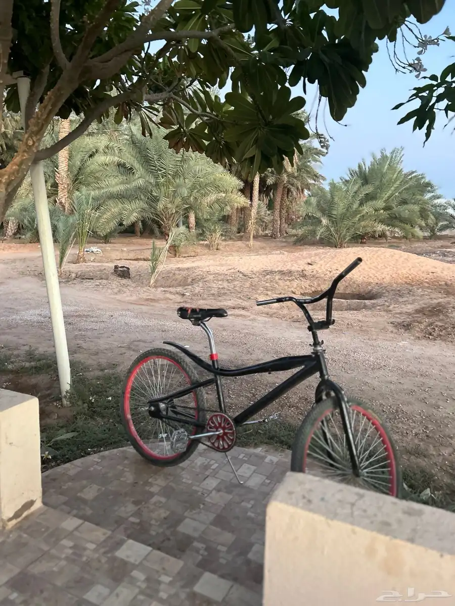 سيكل كوبرا للبيع مقاس 24 63