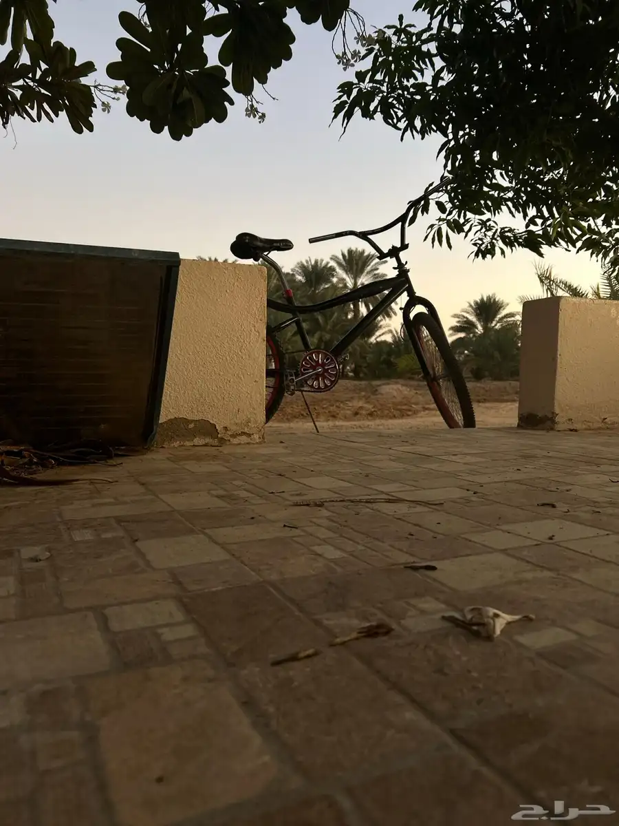 سيكل كوبرا للبيع مقاس 24 62