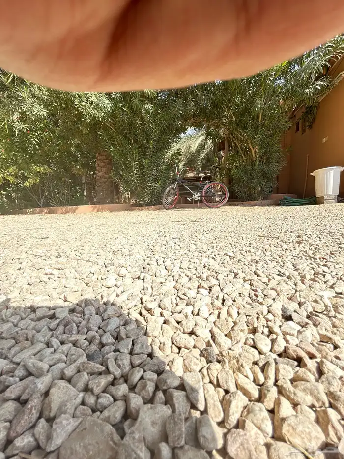 سيكل كوبرا للبيع مقاس 24 12