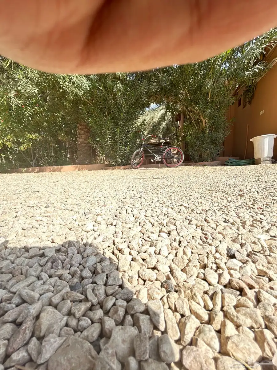 سيكل كوبرا للبيع مقاس 24 12