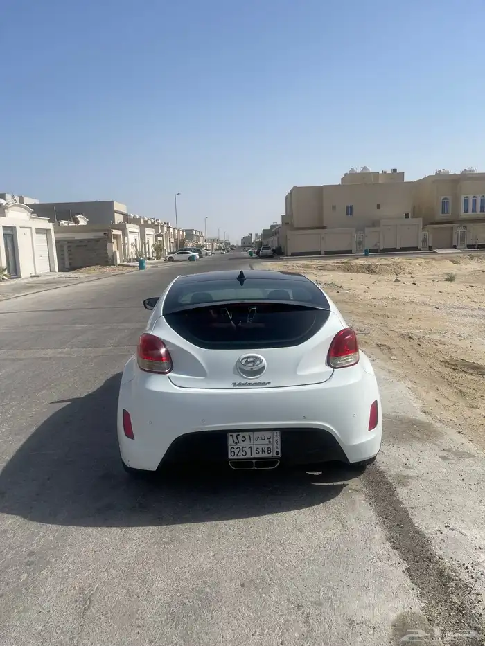 فيلوستر 2013 للبيع 1