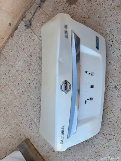 كبوت التيما.   شنطه 0