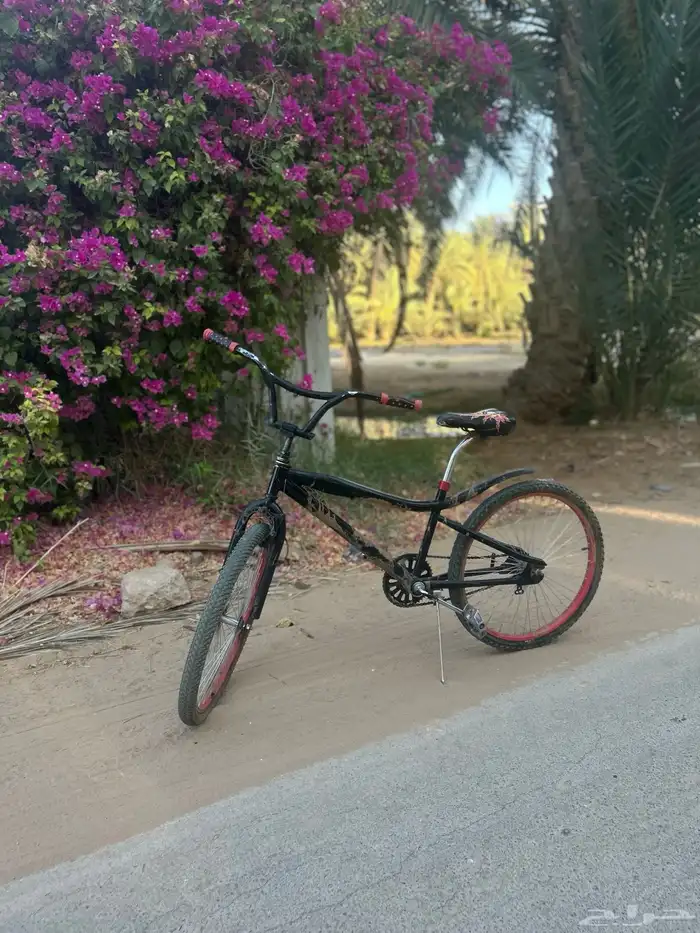 سيكل كوبرا للبيع مقاس 24 26