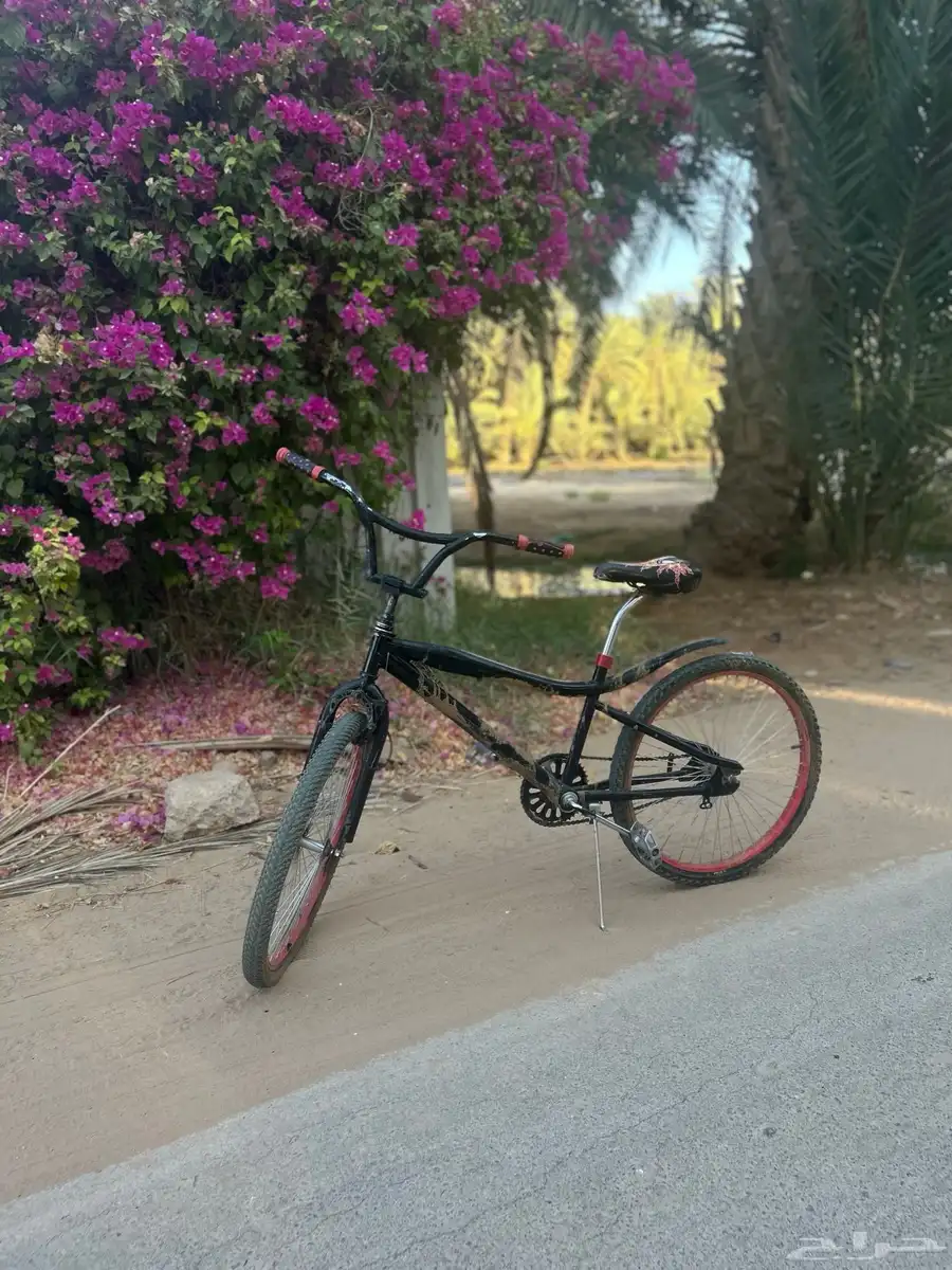 سيكل كوبرا للبيع مقاس 24 26