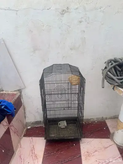 قفص عصفير الحب او الببغان 1