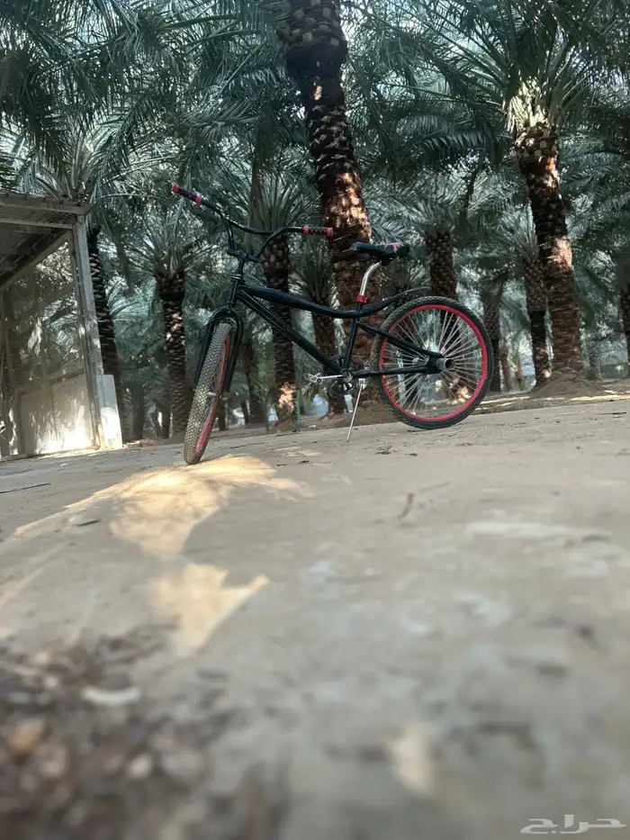سيكل كوبرا للبيع مقاس 24 17