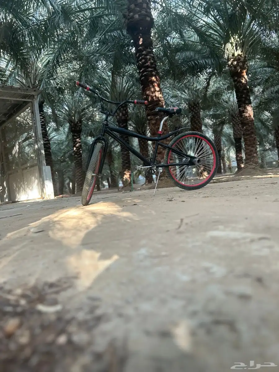سيكل كوبرا للبيع مقاس 24 17