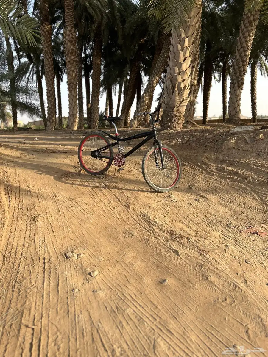 سيكل كوبرا للبيع مقاس 24 82