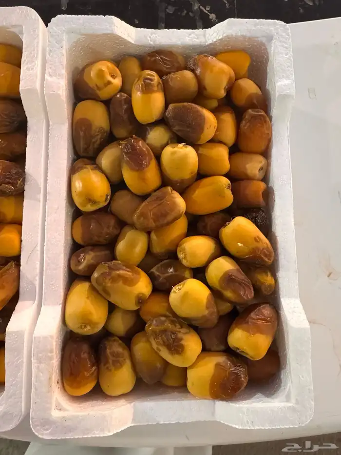 رطب خلاص وربيعه 3