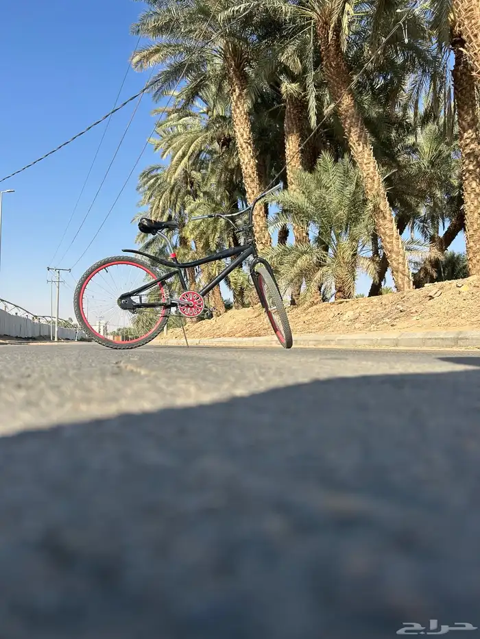 سيكل كوبرا للبيع مقاس 24 66