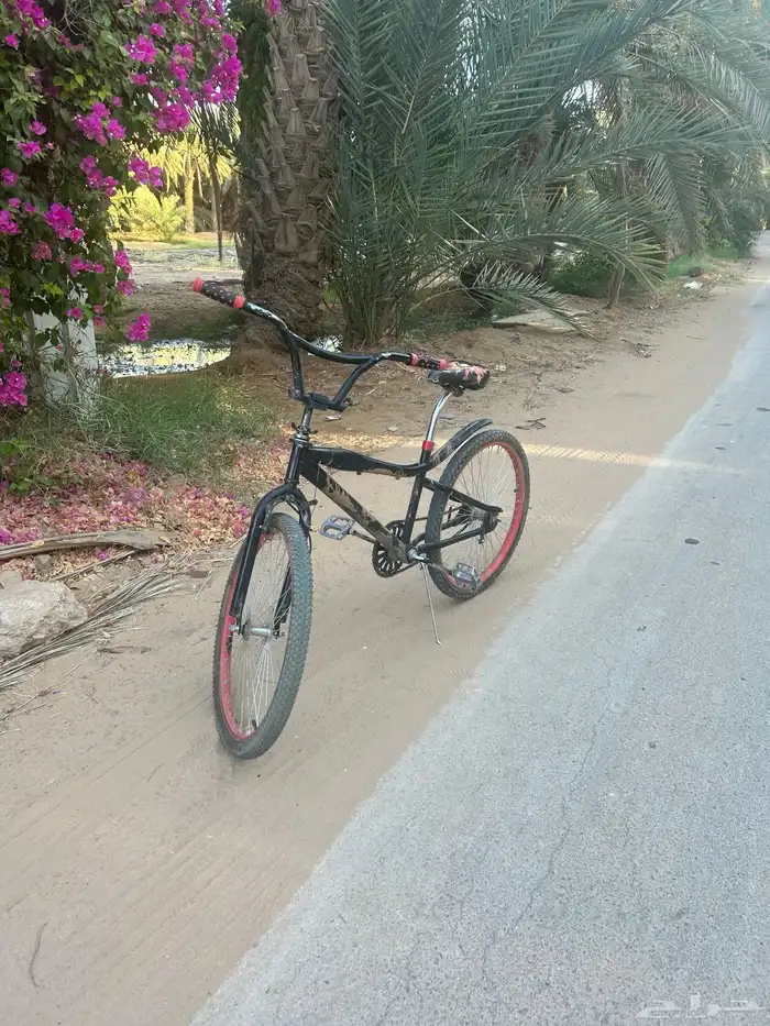 سيكل كوبرا للبيع مقاس 24 25
