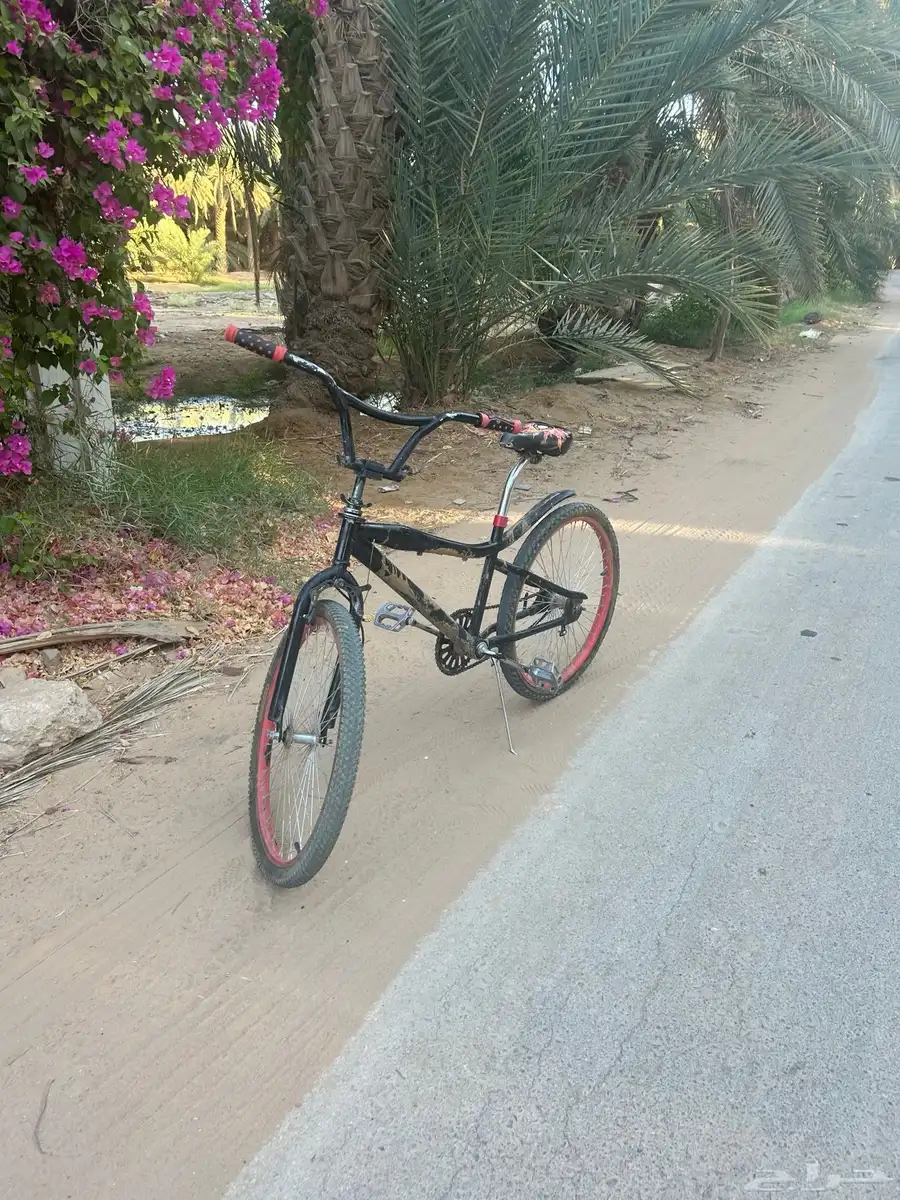 سيكل كوبرا للبيع مقاس 24 25