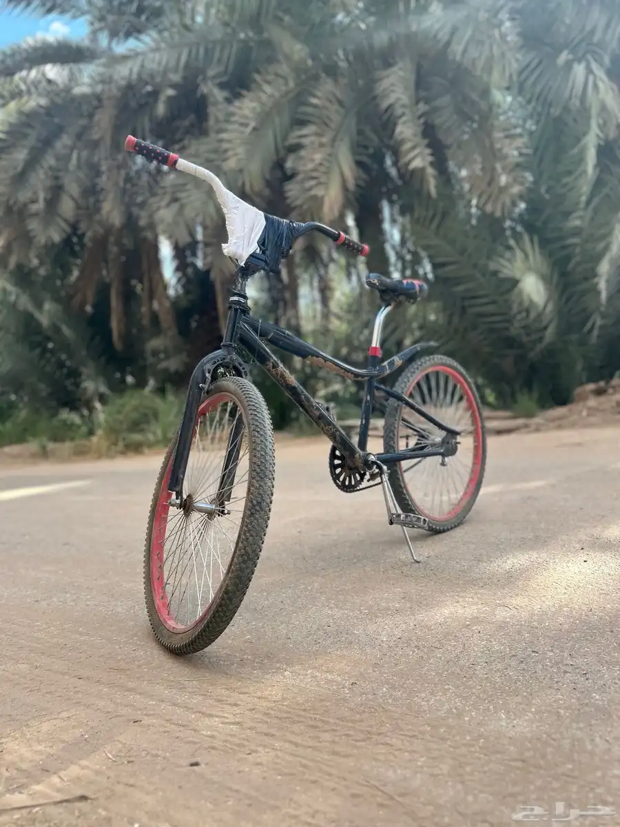 سيكل كوبرا للبيع مقاس 24 41