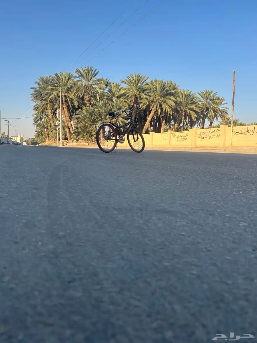 سيكل كوبرا للبيع مقاس 24 76