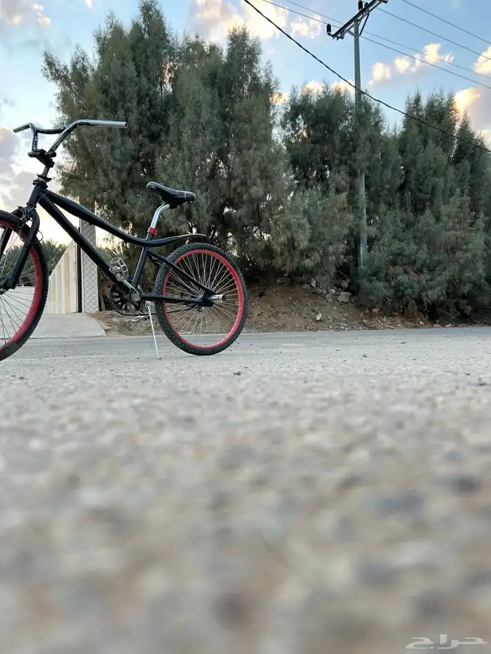 سيكل كوبرا للبيع مقاس 24 89
