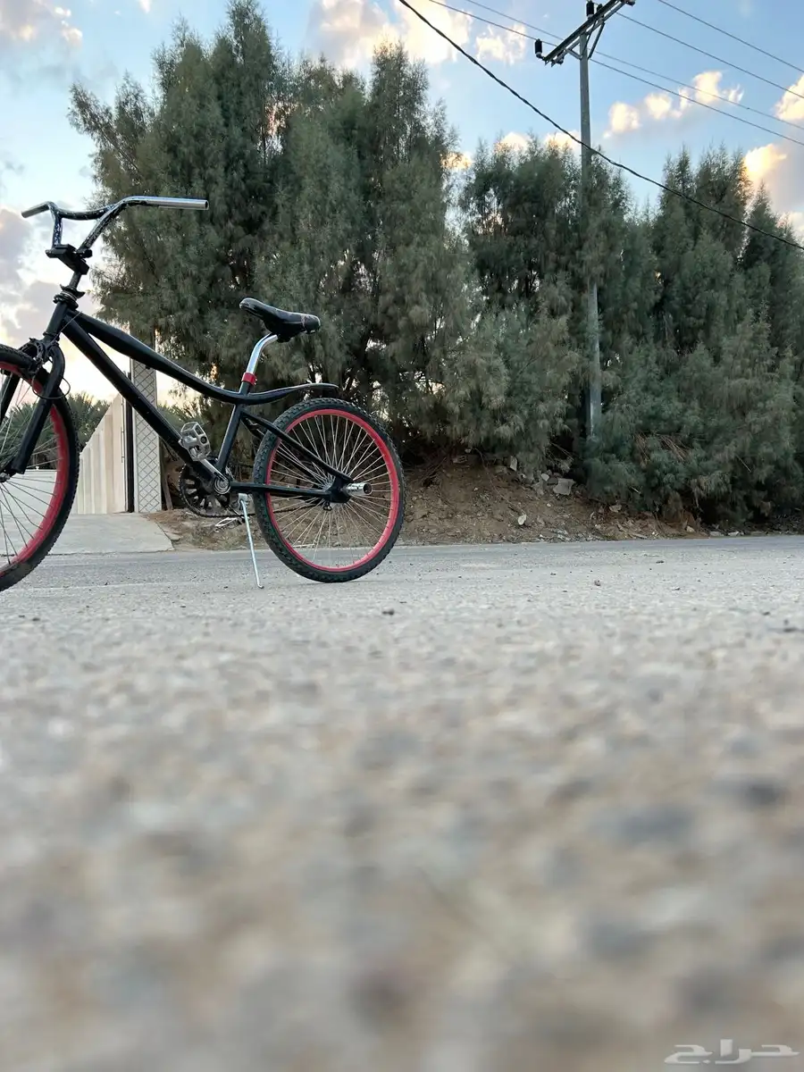 سيكل كوبرا للبيع مقاس 24 89