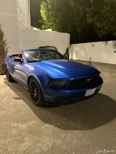 موستنج كشف 4