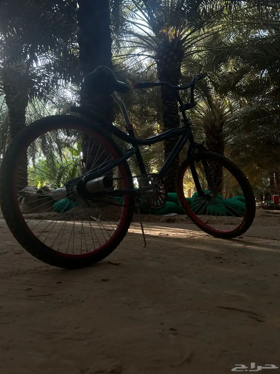 سيكل كوبرا للبيع مقاس 24 19