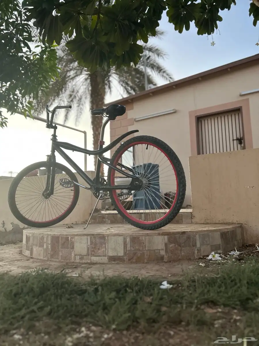 سيكل كوبرا للبيع مقاس 24 59