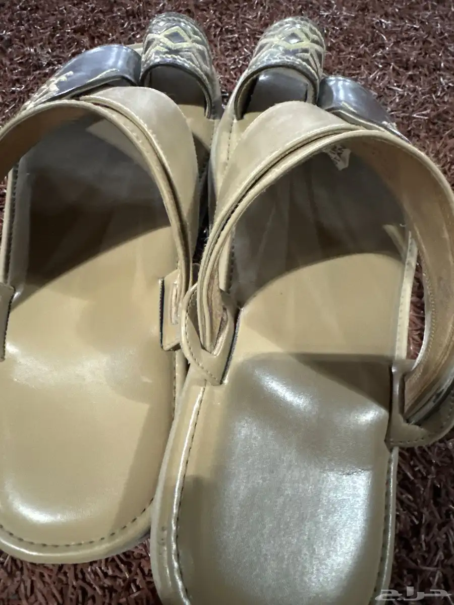 زبريه 2