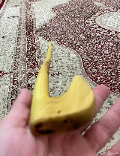 مشعاب نشم بلدي 13