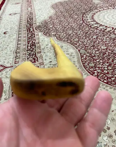مشعاب نشم بلدي 12