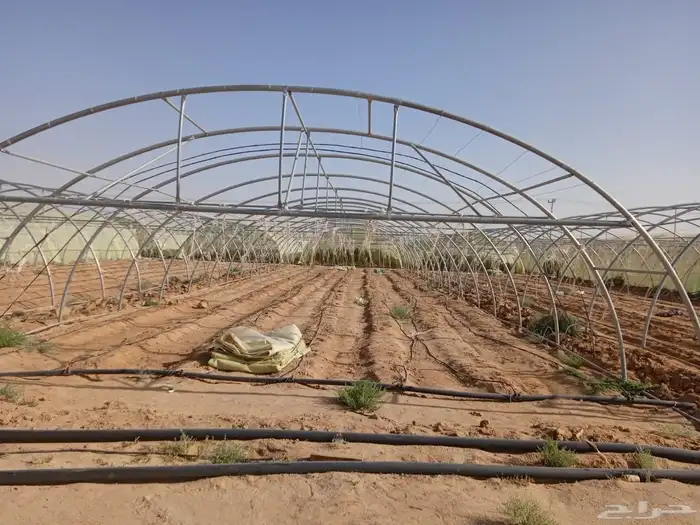 مزرعة البيع في خريمان الشغار 3