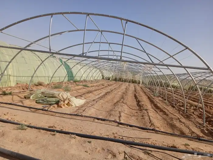 مزرعة البيع في خريمان الشغار 2