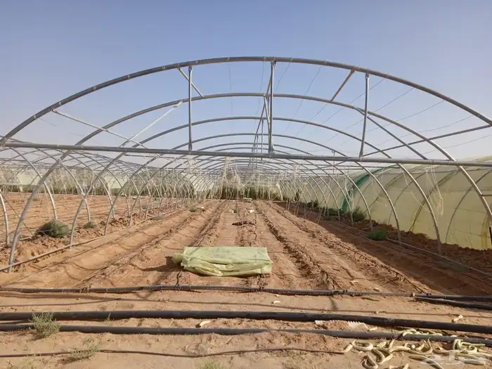 مزرعة البيع في خريمان الشغار 4