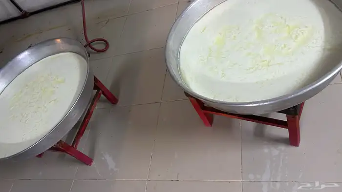 لتيح معزاء   روعه روعه 1