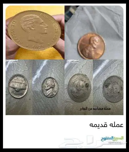 جيزان 0