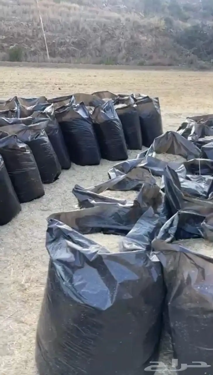 رفه   تبن 1