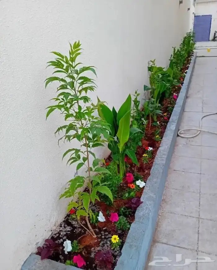 تنسيق الحدائق 14