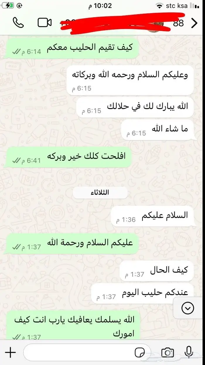 حليب ماعز يتوفر ايضن لبن ماعز 11