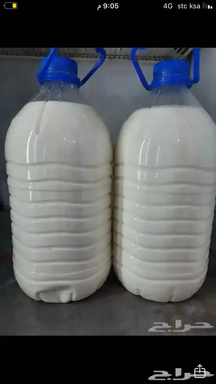 حليب ماعز يتوفر ايضن لبن ماعز 0