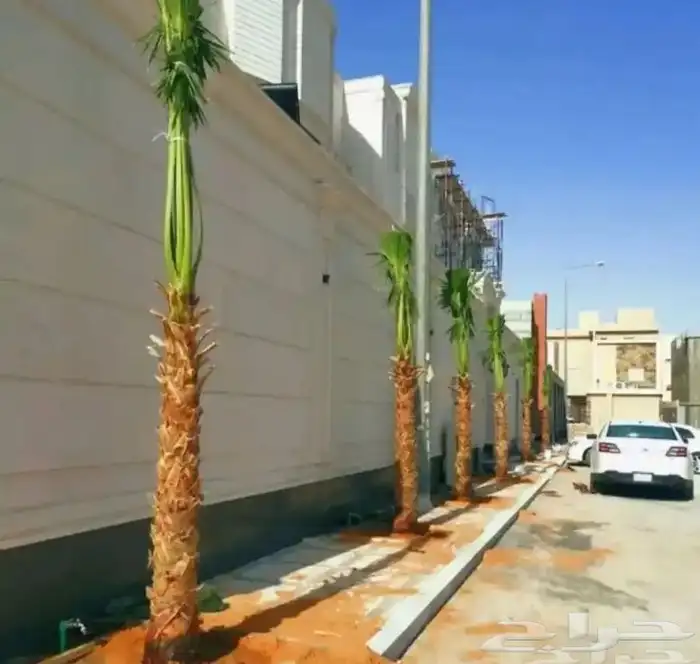 تنسيق الحدائق 18