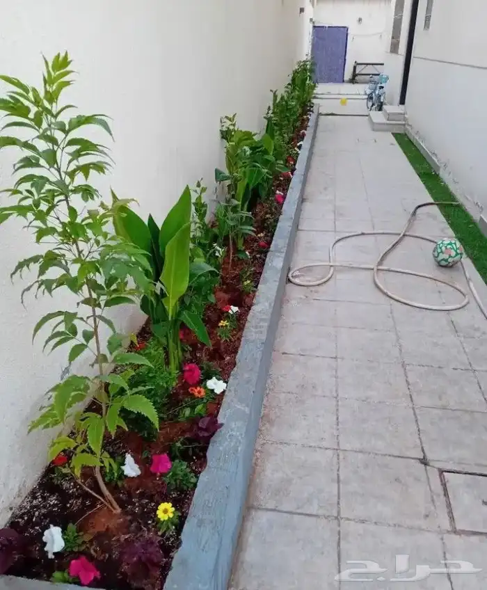 تنسيق الحدائق 15