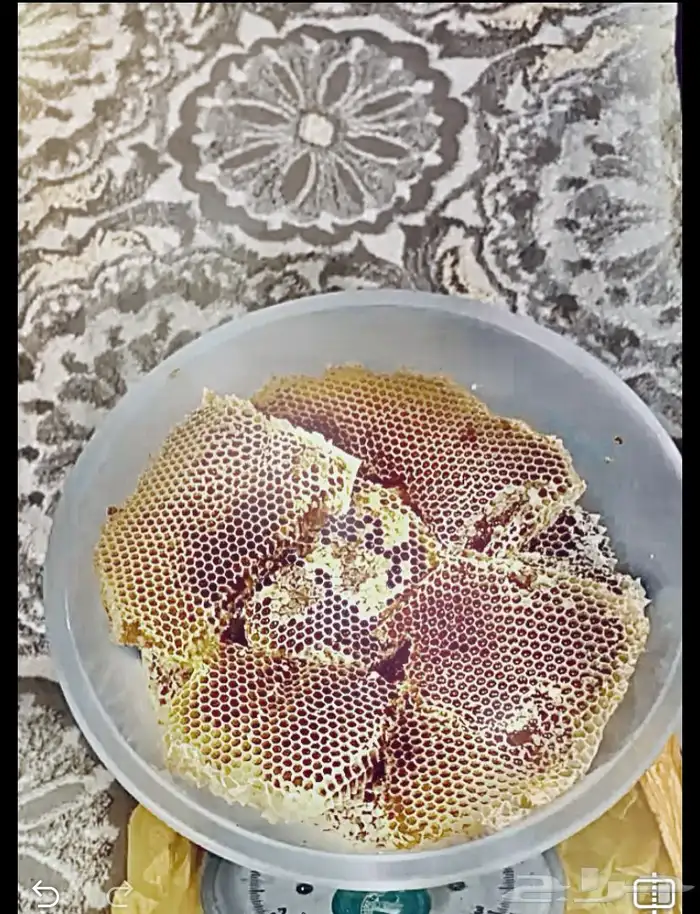 عسل طلحة 3