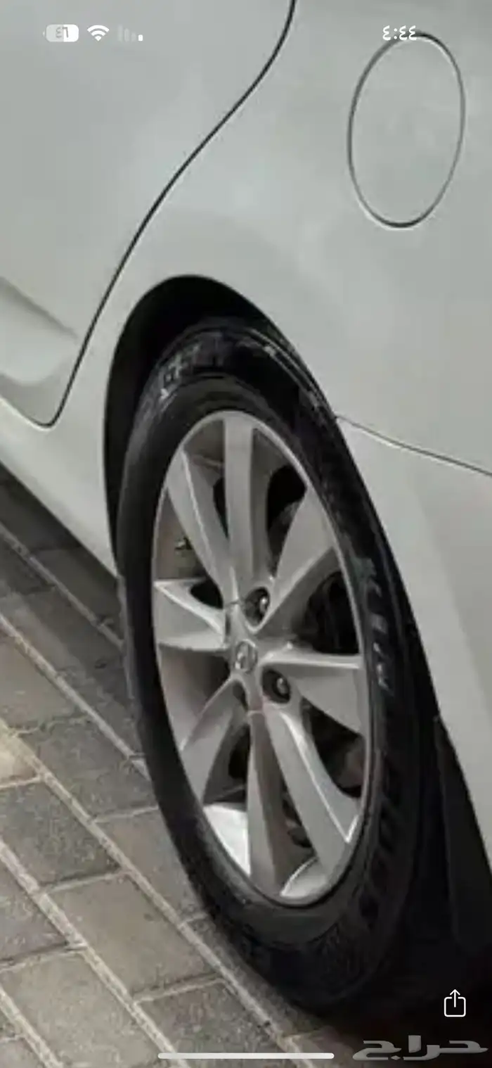 جنوط واحد فل كامل على السوم 0