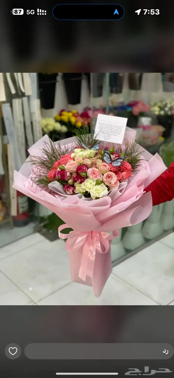 مندوب ورد الاحساء 16