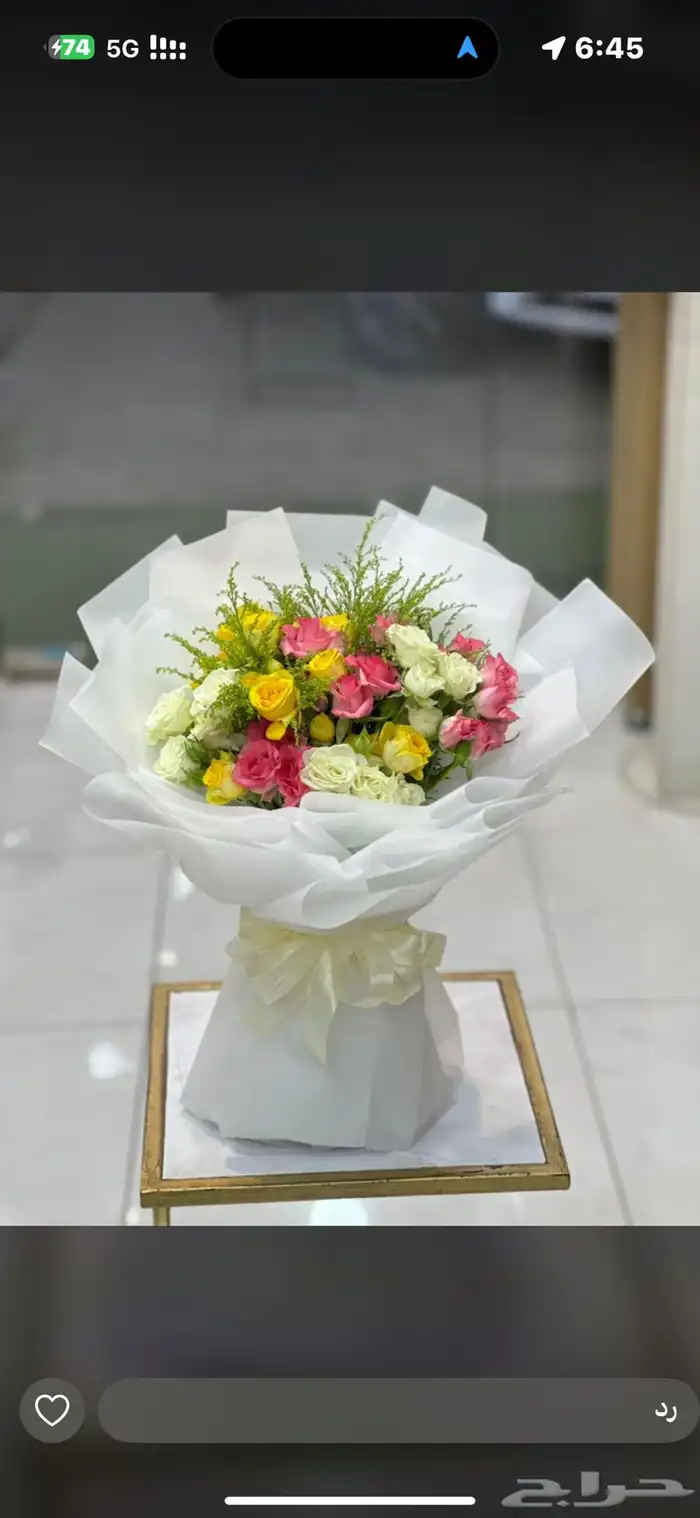 مندوب ورد الاحساء 17