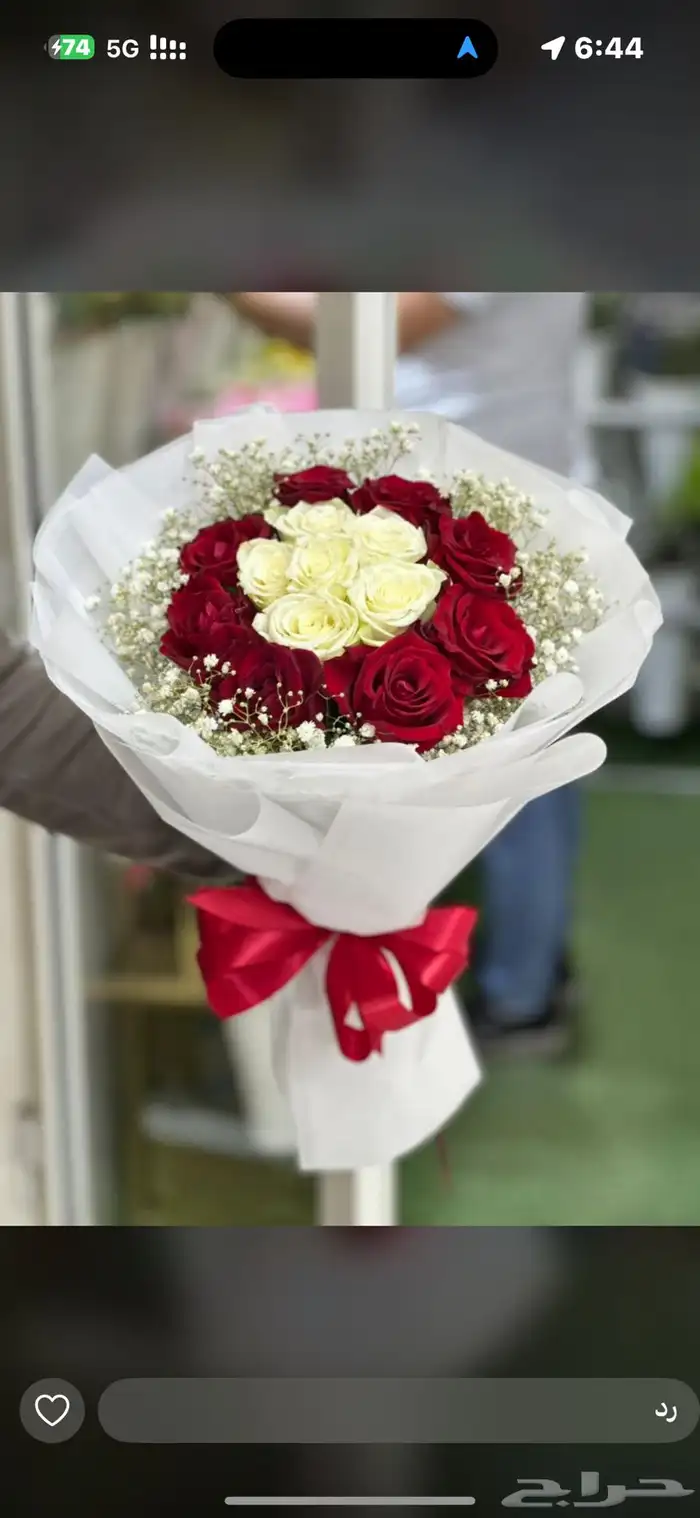 مندوب ورد الاحساء 18