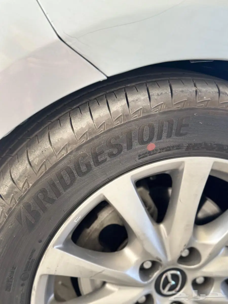 الرياض 13