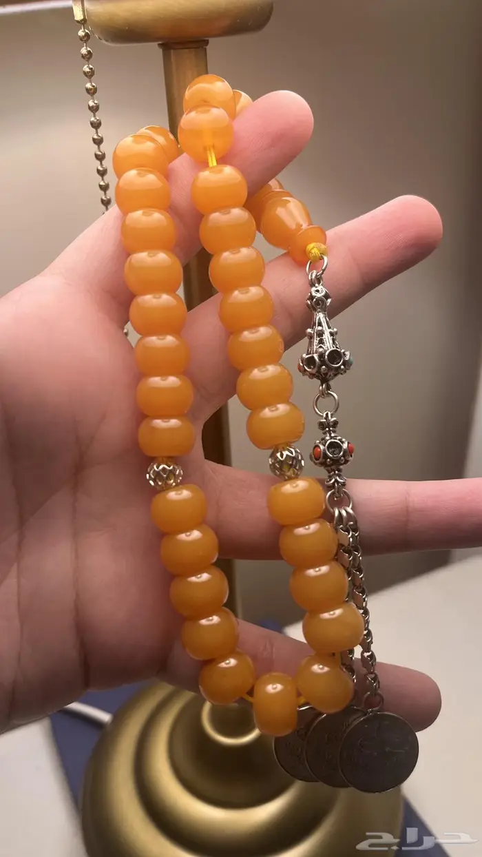 بكلايت بلجيكي 2