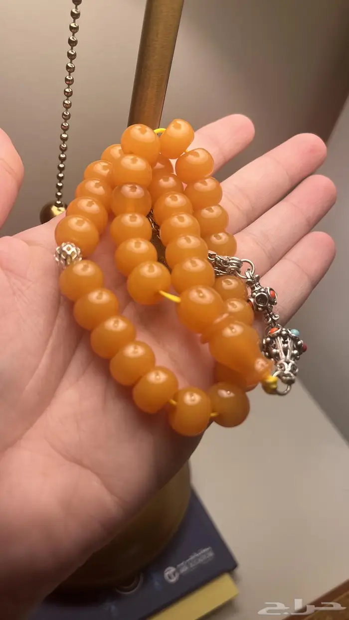 بكلايت بلجيكي 7