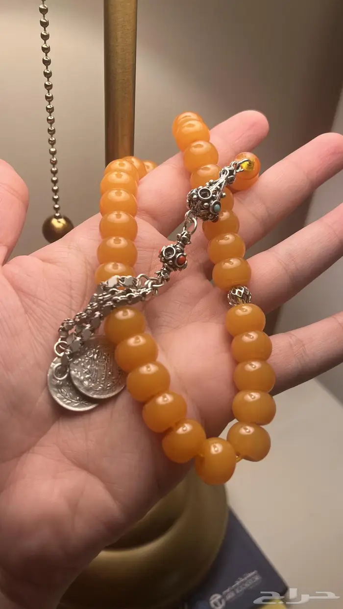 بكلايت بلجيكي 6