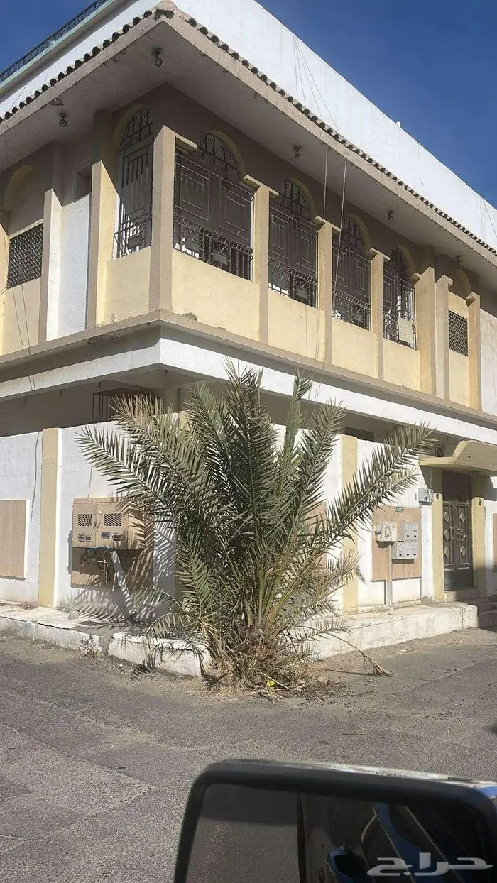 شقق للإيجار في خميس مشيط حي شباعة طريق أبو بكر الصديق 0