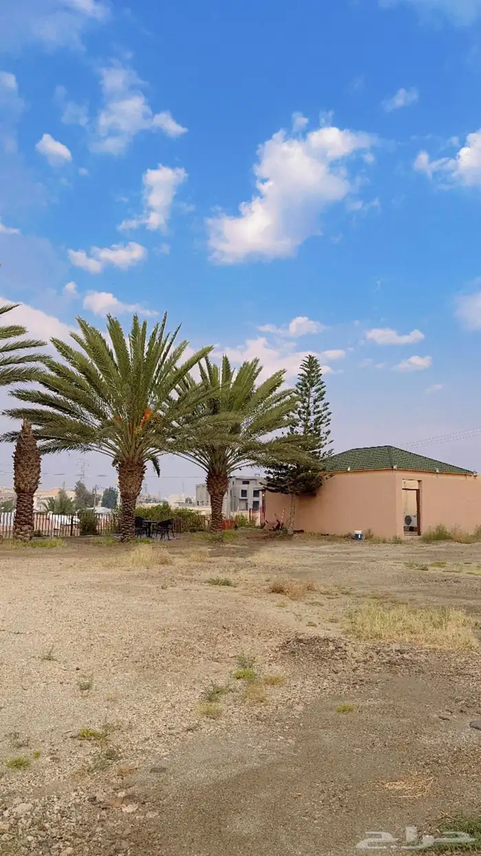 استراحه قسم واحد للايجار فتره الصيف 5