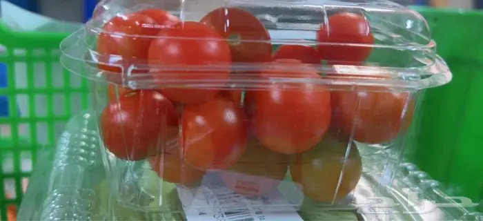 طماطم شيري احمر كرزي وبلحي طازجة من المزرعة مباشرة 2